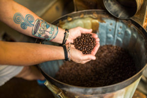 roasted coffee beans in frederick