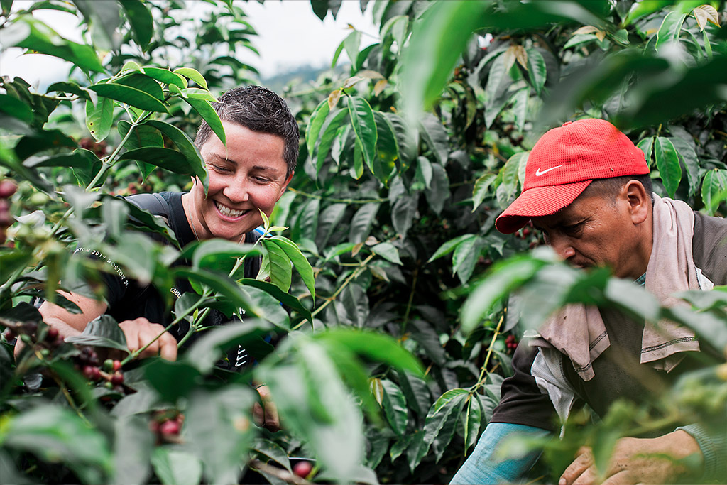 Supporting Small Coffee Farmers